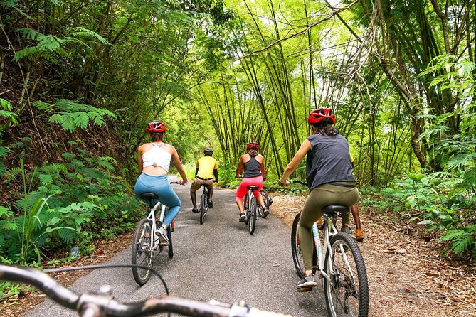 4-Hours Bike, Hike & Waterfall Tour in Blue Mountain With Lunch and Pick up - Booking Your Stay