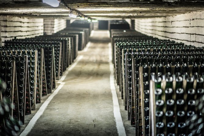 4 Hours Cricova Winery Tour With Tasting - Tour Experience Highlights
