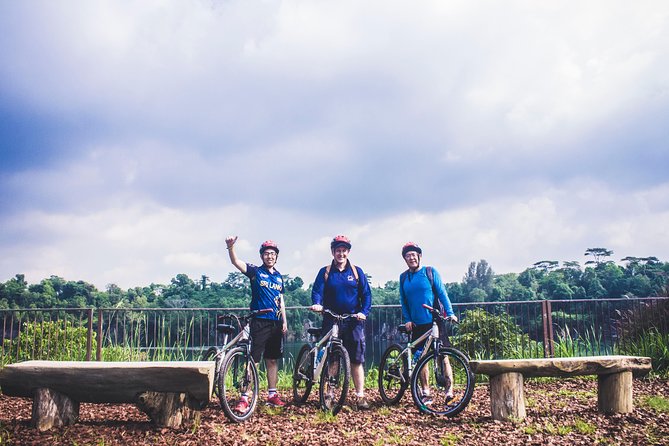 4 Hours Cycling in the Nature at Pulau Ubin Singapore - Transportation