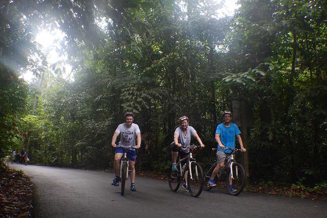 4 Hours Cycling in the Nature at Pulau Ubin Singapore - Inclusions