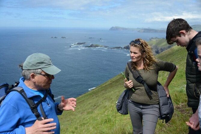 4 Hours Dingle Peninsula Private Tour - Meeting and Pickup