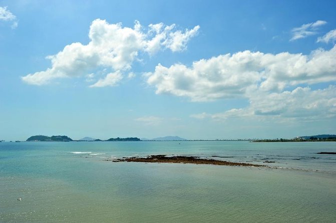 4 Hours Dinner and Cocktail Activity in Panama - Key Points