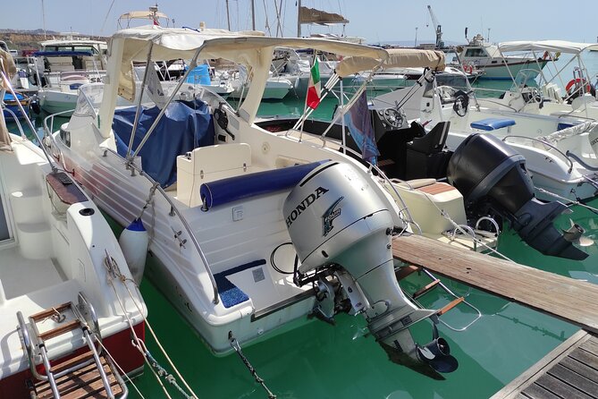 4 Hours Dolphin Watching Tour in Porto Empedocle - Equipment and Inclusions