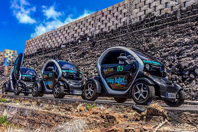 4 Hours Eco Safari Tour With Electric Car in Tenerife - Meeting Point and Pickup