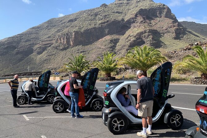 4 Hours Eco Safari Tour With Electric Car in Tenerife - Tour Details