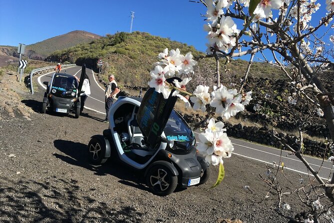 4 Hours Eco Safari Tour With Electric Car in Tenerife - Sustainability and Eco-Friendly