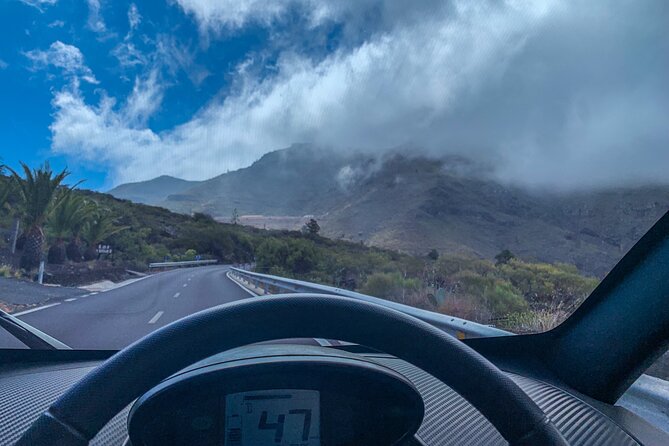 4 Hours Eco Safari Tour With Electric Car in Tenerife - Highlights of the Tour