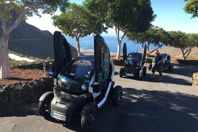 4 Hours Eco Safari Tour With Electric Car in Tenerife - Frequently Asked Questions