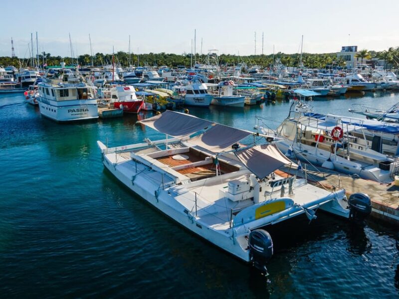 4 Hours Experience the Turtle Sanctuary Onla Chula Catamarán - Key Points