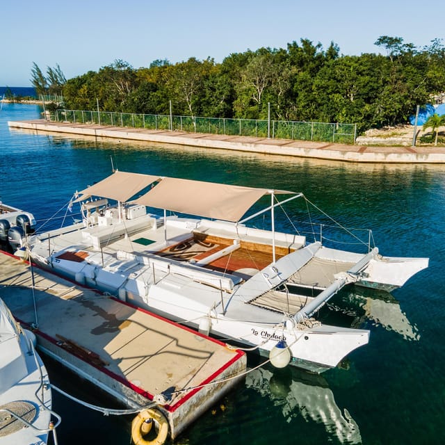 4 Hours Experience the Turtle Sanctuary Onla Chula Catamarán - Booking and Cancellation Policy
