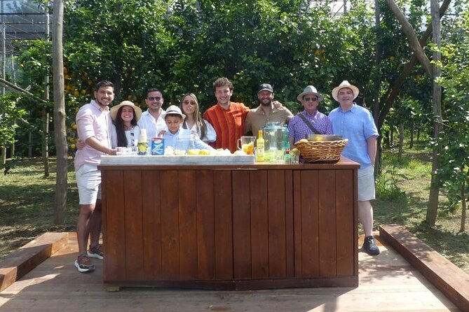 4 Hours Guided Tour of the Limoneto With Pasta Cooking Class - Inclusions