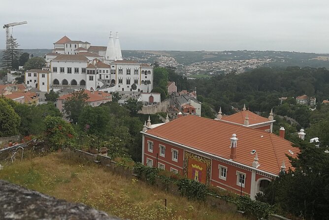 4 Hours in Sintra: Pena Palace Gardens and Quinta Da Regaleira - Customer Feedback