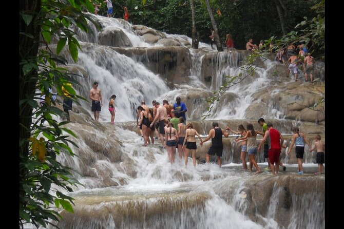 4 Hours Island Gully Secret Falls and Dunns River From Ocho Rios - Health and Safety