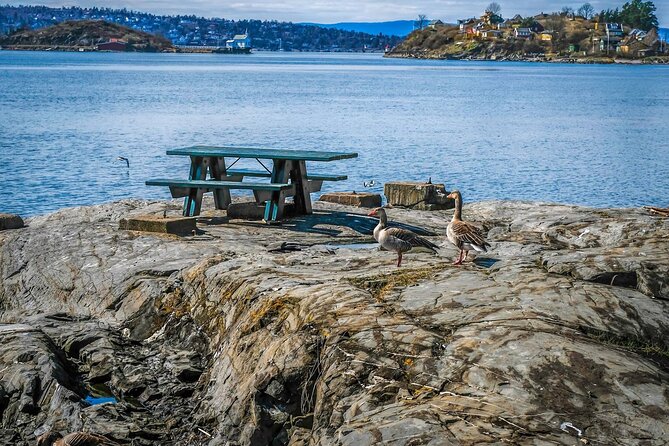4 Hours Island Hopping Tour in Oslo - Group Size