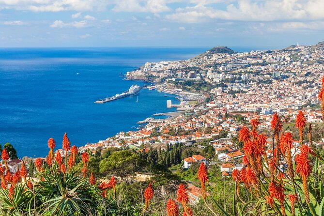 4 Hours Jeep Tour King Christ in Madeira - Pricing Details