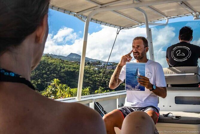 4 Hours of Humpback Whale Watching in Tahiti - The Verdict: Who Will Love This Tour?