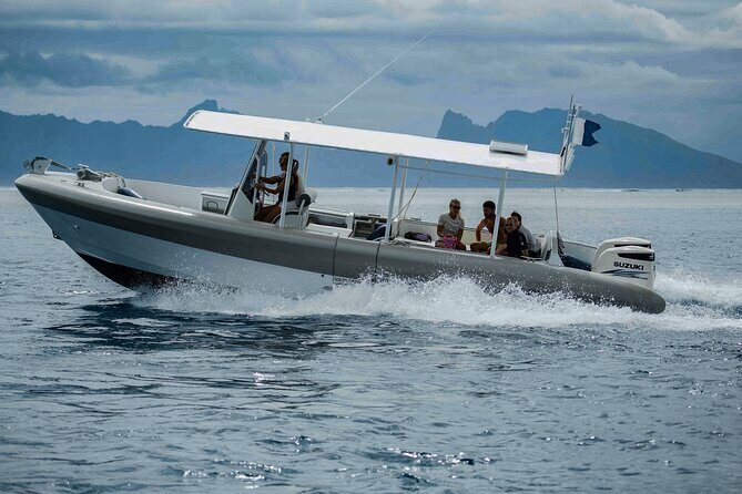 4 Hours of Humpback Whale Watching in Tahiti - The Sum Up