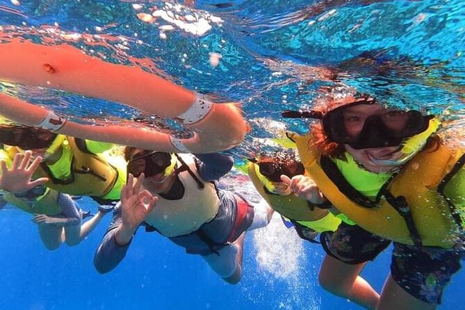 4 Hours of Shared Snorkeling to El Cielo - Additional Tips and Considerations
