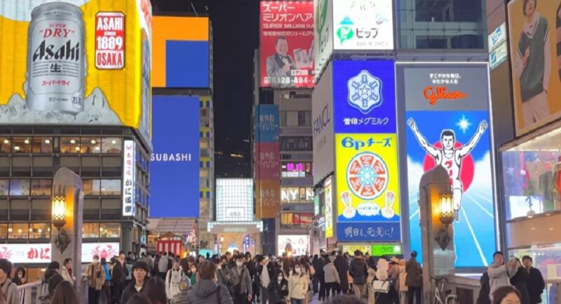 4 Hours Osaka Half-Day Drive Cruising City Tour. (1 Pax Up) - Experience Features