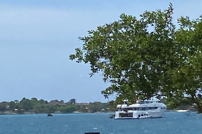 4 Hours Party Boat Catamaran Cruise in Negril - Highlights of the Experience