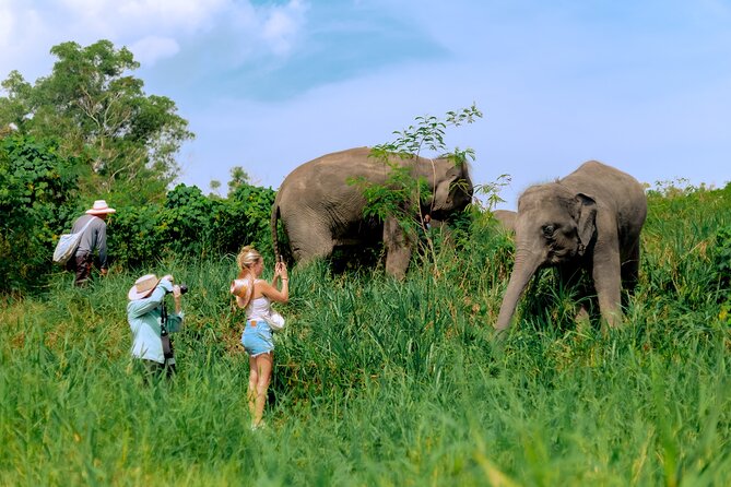 4-Hours Phuket Ethical Elephant Sanctuary Tour With Lunch - Itinerary and Activities