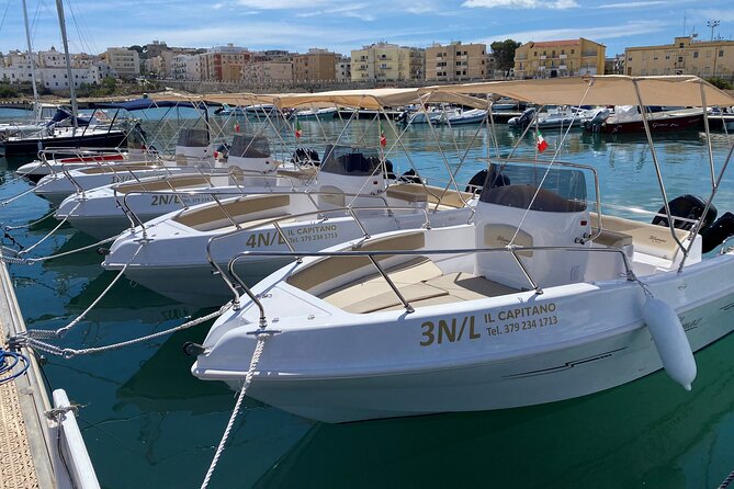 4 Hours Private Guided Boat Tour in Vieste - Quick Points