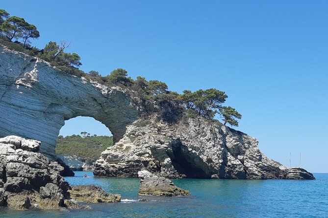 4 Hours Private Guided Boat Tour in Vieste - Meeting and Pickup