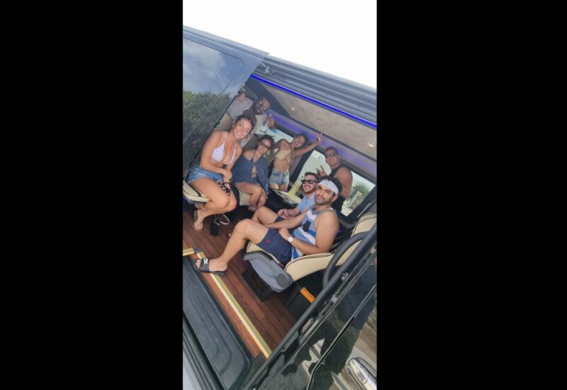 4 Hours Private Mykonos Island Tour by Luxury Minibus - Luxury Minibus Experience