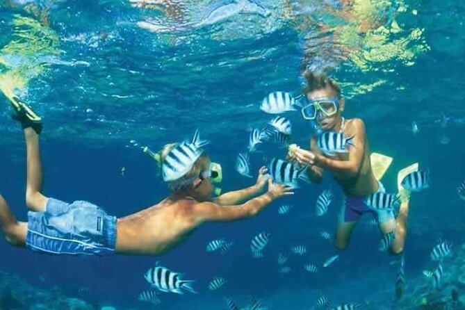 4 Hours Private Speed Boat Snorkeling With Dolphins Trip, Water Sport - Hurghada - Cancellation Policy