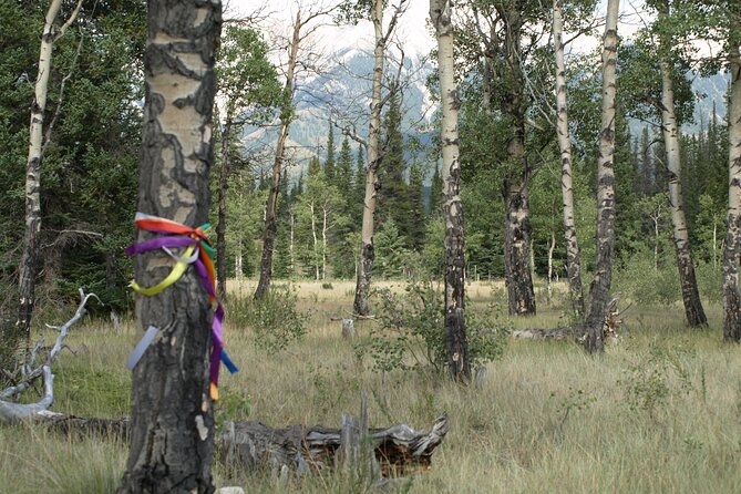 4 Hours Private Tour in Kootenay Plains Trails - Accessibility and Transportation