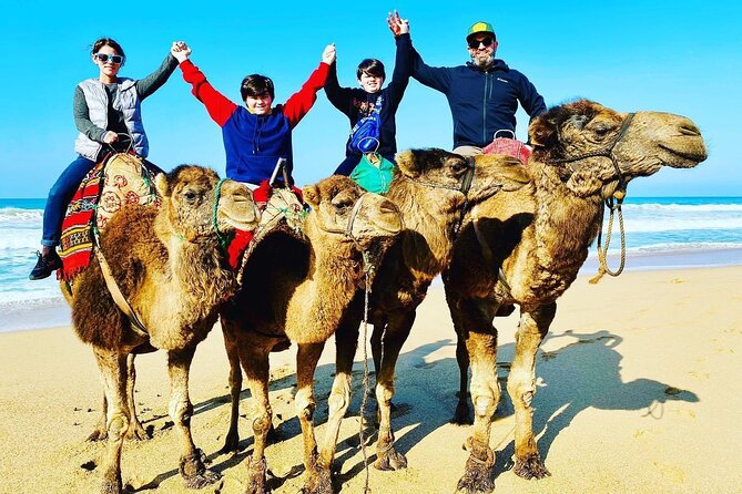 4 Hours Private Tour in Tangier & Medina & Colorful Markets - Kasbah, Palace, Park, and Caves