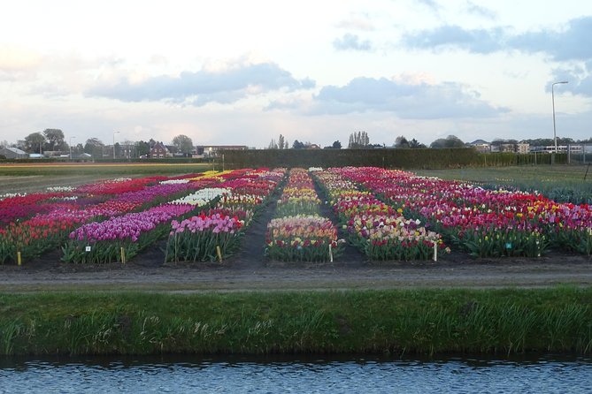 4 Hours Private Tour to the Famous Colourfull Flower Fields From Amsterdam - Additional Information