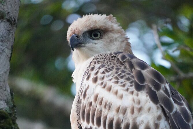 4 Hours Private Yala Safari Day Tour - Who is this tour best suited for?