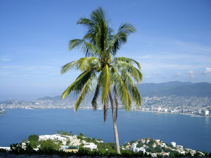 *4 Hours Shore Excursion With Cruise Ship Terminal Pick Up. - Acapulco Cliff Divers