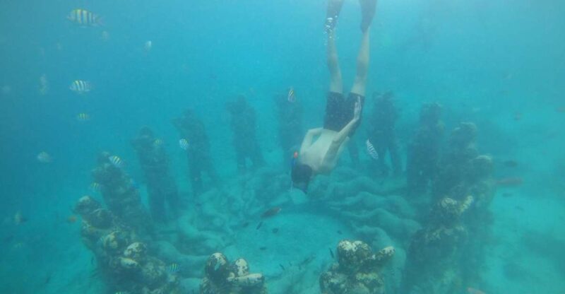 4 Hours Snorkeling 3 Gilis ( Trawangan,Meno, Gili Air) - Key Points