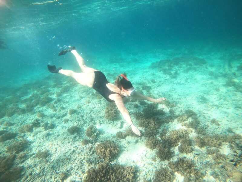 4 Hours Snorkeling 3 Gilis ( Trawangan,Meno, Gili Air) - Itinerary Details