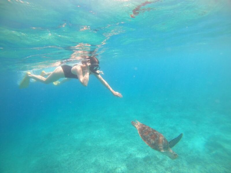 4 Hours Snorkeling 3 Gilis ( Trawangan,Meno, Gili Air) - Marine Life and Scenery