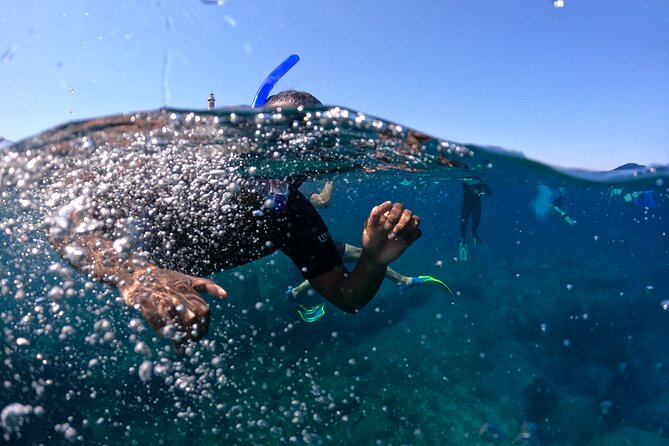 4 Hours Snorkeling Activities Villasimius Isola Dei Cavoli - Recap