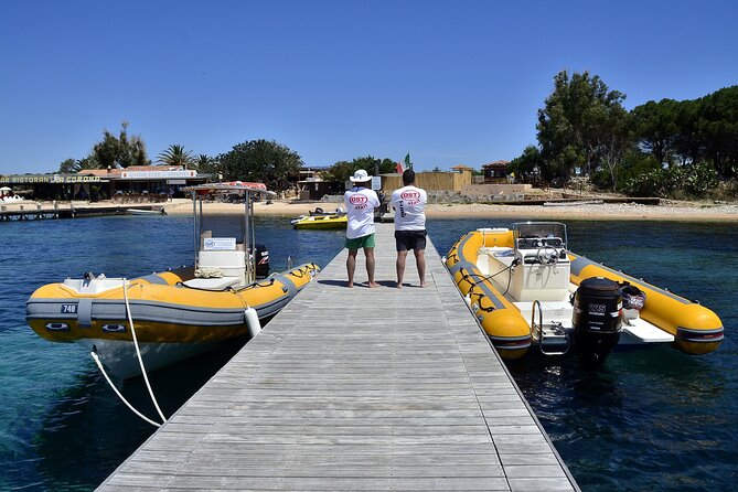4 Hours Snorkeling With Guide in the Marine Protected Area of Tavolara - Booking Information