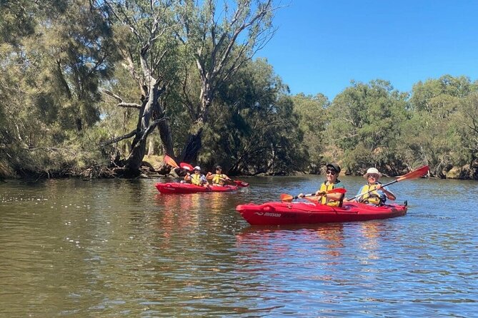 4 Hours Swan Valley Kayak, Wine & Dine Experience - Meeting and Pickup