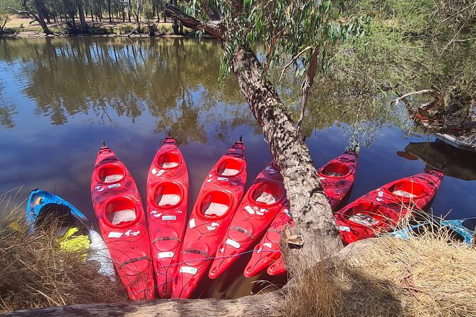4 Hours Swan Valley Kayak, Wine & Dine Experience - Paddle Along Swan River