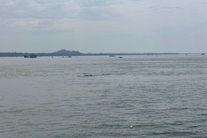 4 Hours Taking Tuk Tuk to See Mekong Dolphins and Countryside - Countryside Exploration