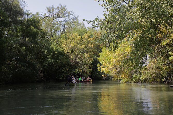 4-Hours Tour Rafting From Hainburg to Bratislava - Pricing and Cancellation