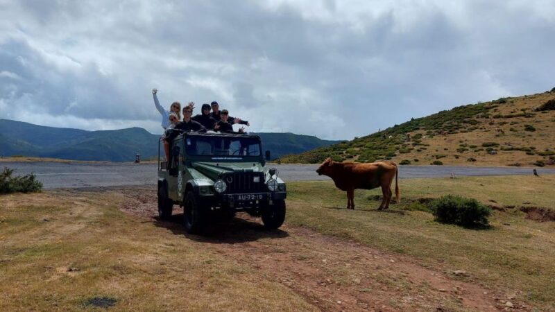 4 Hours Unique Jeep Safari Tour to Pico Do Arieiro, Madeira - Booking and Cancellation