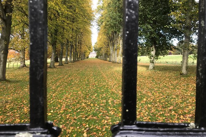 4 Hours Walking Tour in Ford and Etal Estates - Inclusions