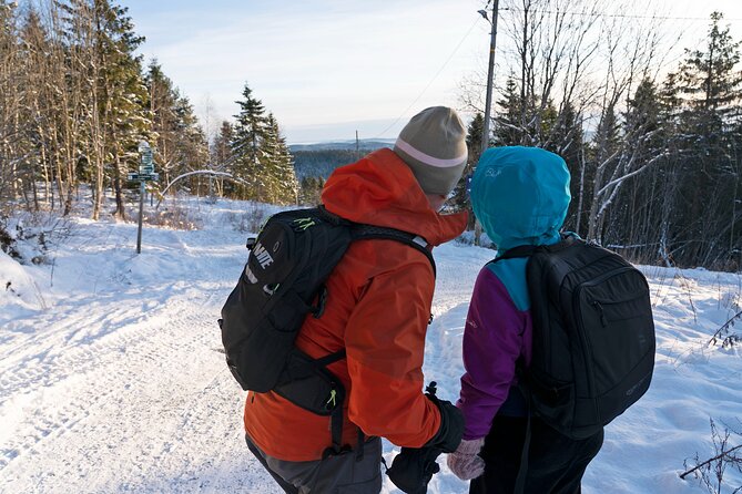 4 Hours Winter View of the Oslofjord Walk Tour - Reviews and Ratings