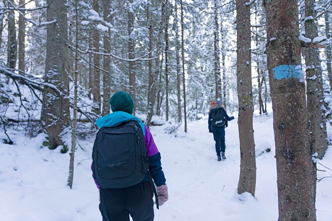 4 Hours Winter View of the Oslofjord Walk Tour - Positive Feedback