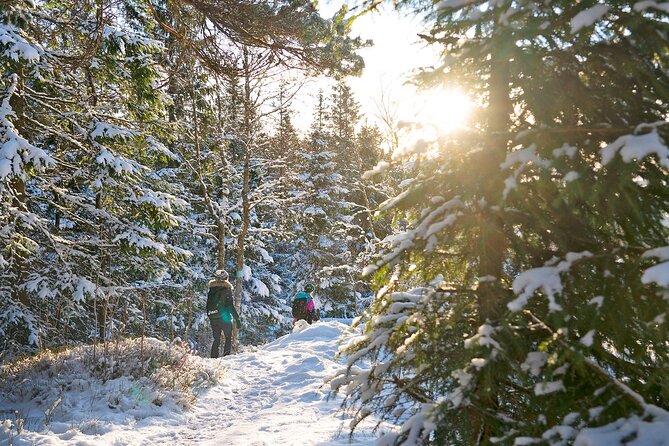 4 Hours Winter View of the Oslofjord Walk Tour - Cost Considerations