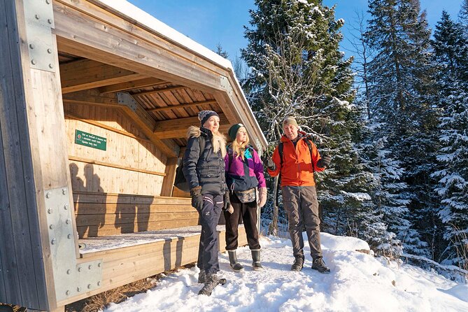 4 Hours Winter View of the Oslofjord Walk Tour - Recommendations for Improvement