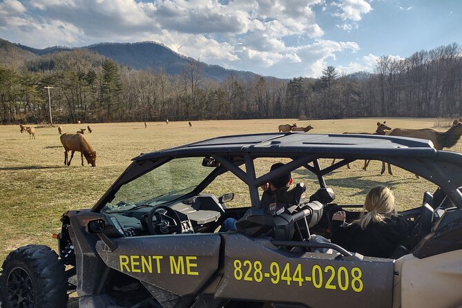 4 Hr. Guided ECO, ELK Off-Road UTV/SxS Adventure Upto 4 Guest - Ratings and Reviews